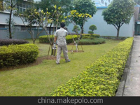 南寧第45屆體操世界錦標(biāo)賽主賽場、訓(xùn)練場病媒生物防制工作